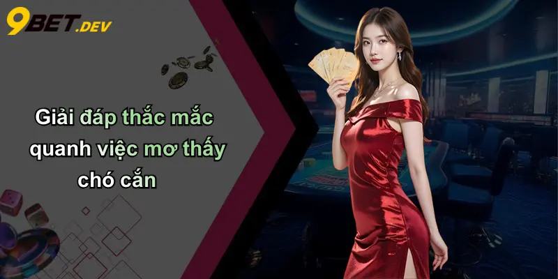 Giải đáp thắc mắc quanh việc mơ thấy chó cắn