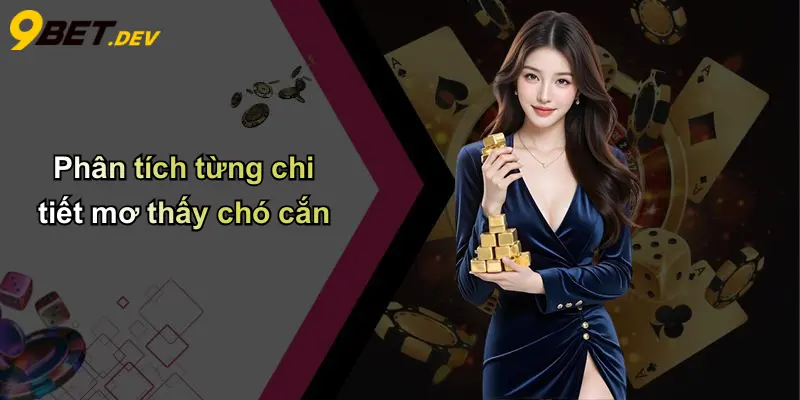 Phân tích từng chi tiết mơ thấy chó cắn